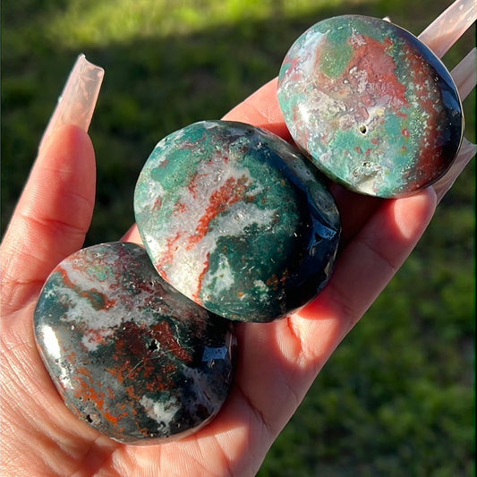 “Poinsettia” Bloodstone Palm Stones