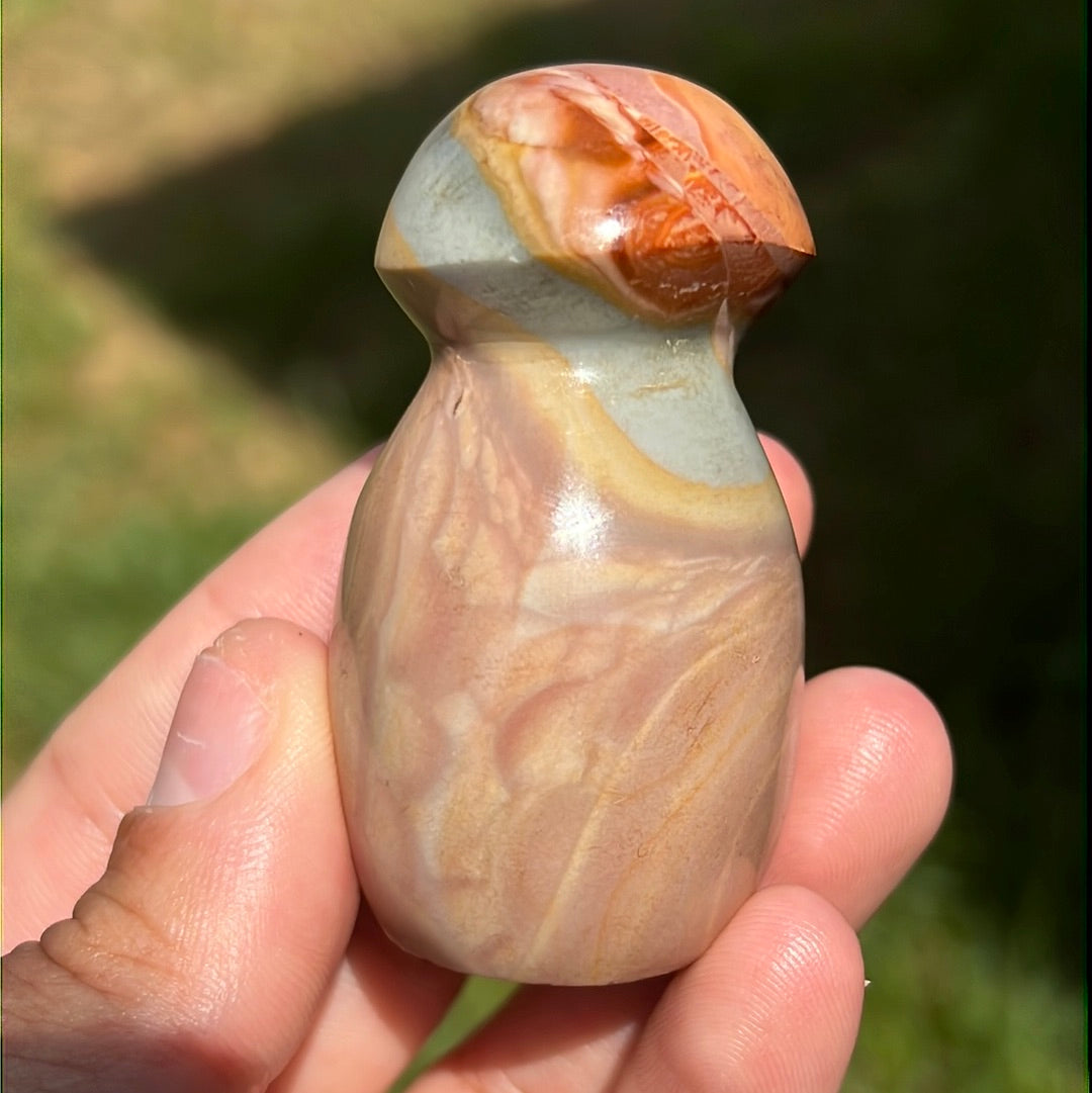 “Pink Pocket” Polychrome Jasper Mushrooms