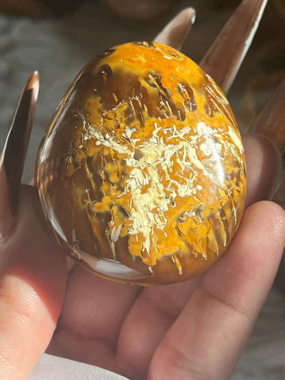 “Crunching Leaves” Carnelian & Agate Palm Stones