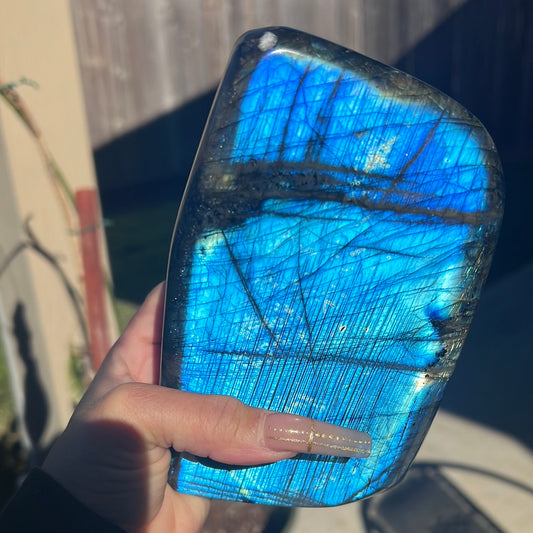 “It’s Electric” Large Labradorite Free Form