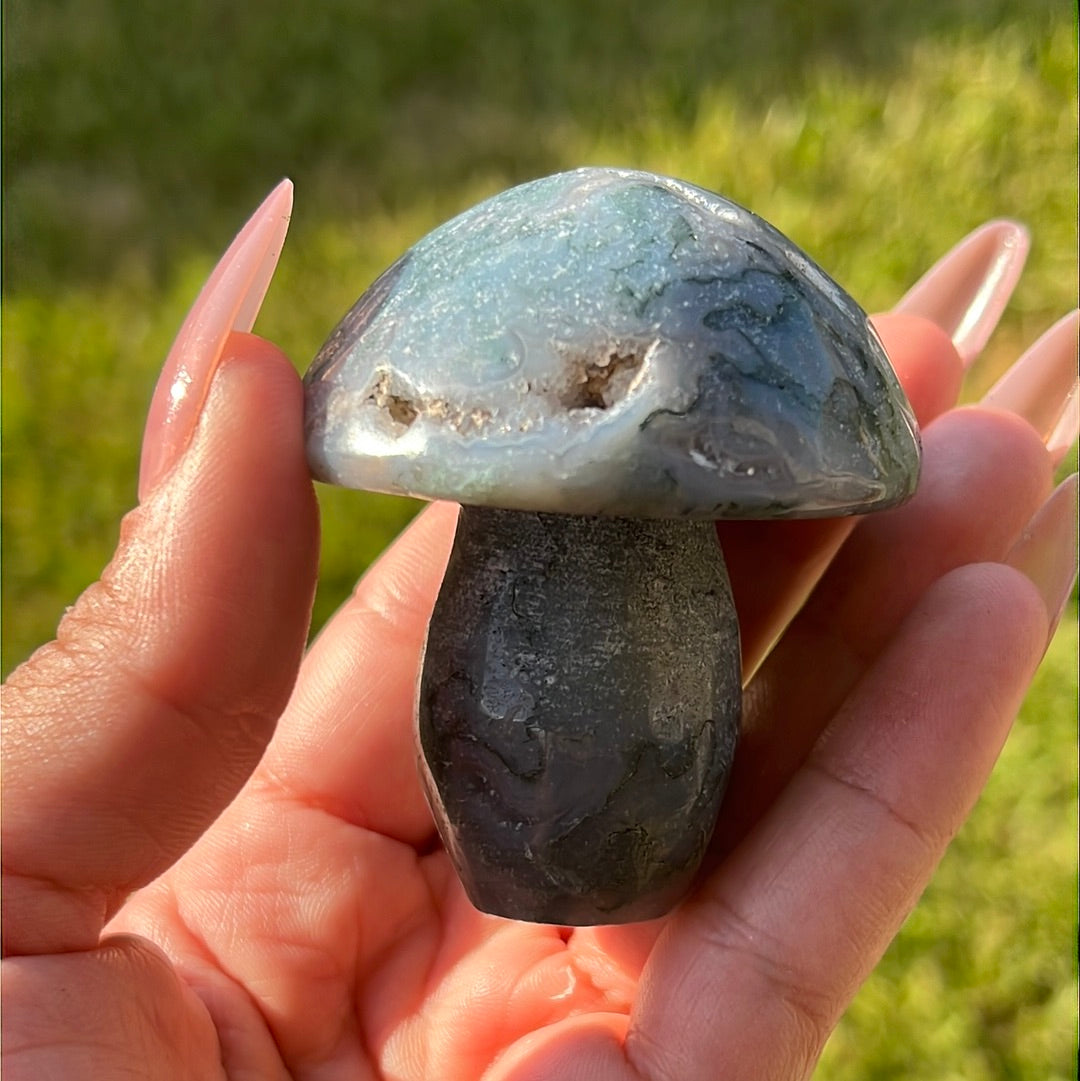 “Mushroom Madness” Moss Agate Mushrooms