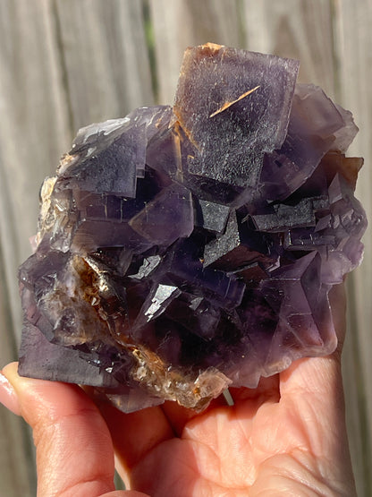 “Queen to Be” Balochistan Fluorite Cluster