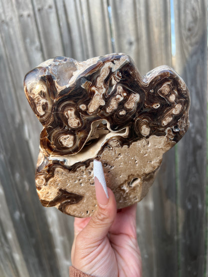 “Chocolate Bear Claw” Chocolate Calcite Free Form/Cutbase