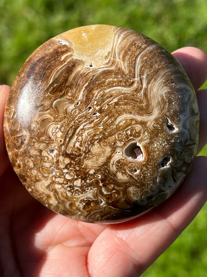 “Cookie Crisp” Chocolate Calcite Palm Stone