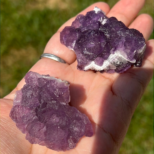 “Berry Compote” Botryoidal Fluorite Clusters