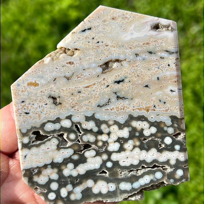 Earthy Orbicular Jasper Slabs