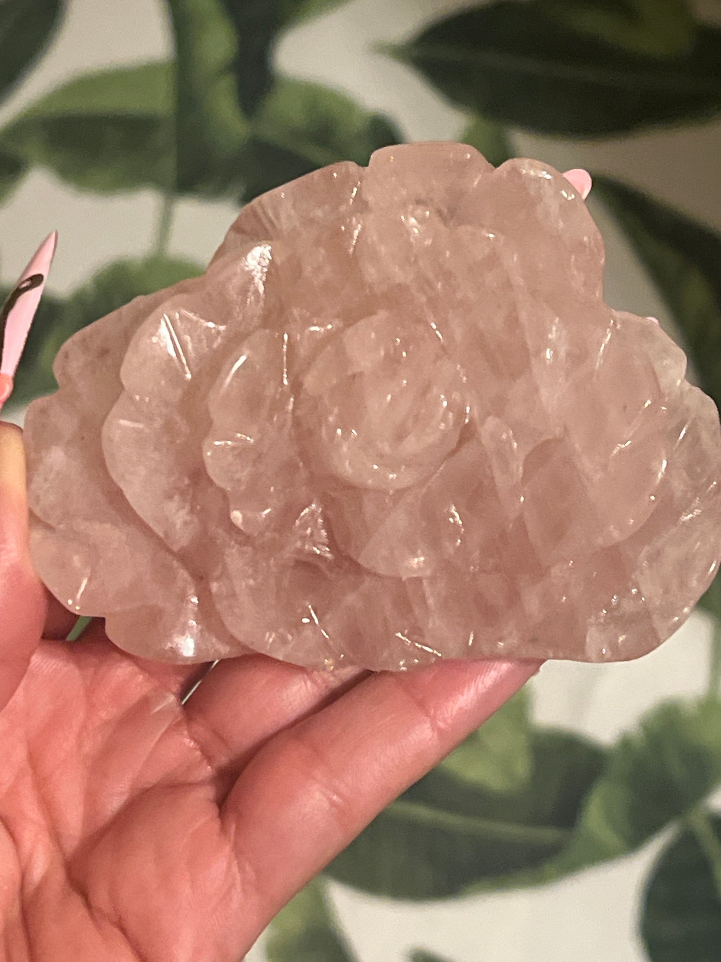 “Delicate Blossom” Rose Quartz Rose
