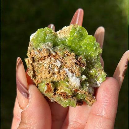 “Slime Time” Pyromorphite Clusters