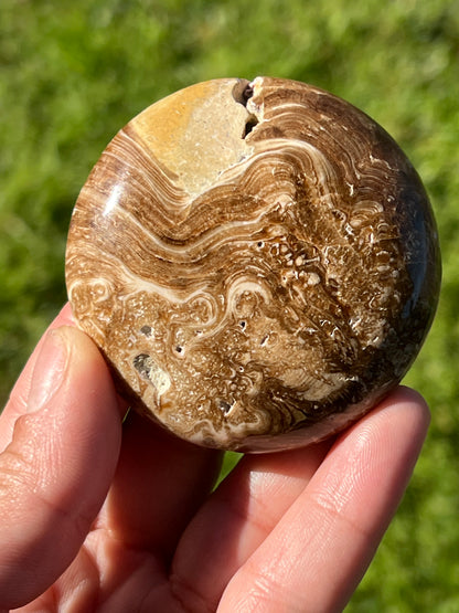 “Cookie Crisp” Chocolate Calcite Palm Stone