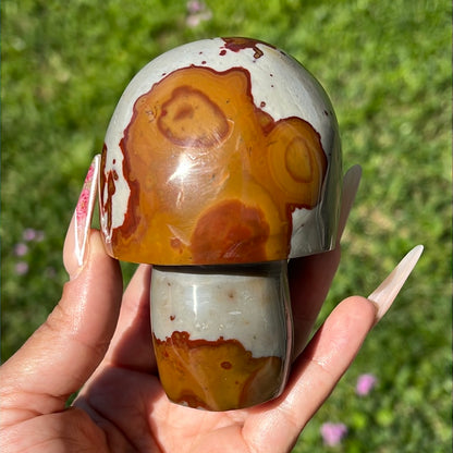 “Kawaii Style” Polychrome Jasper Mushroom