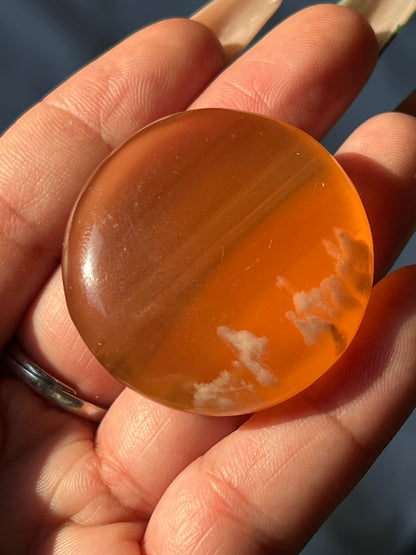 “Sweet & Sticky” Small Honey Calcite Palm Stones