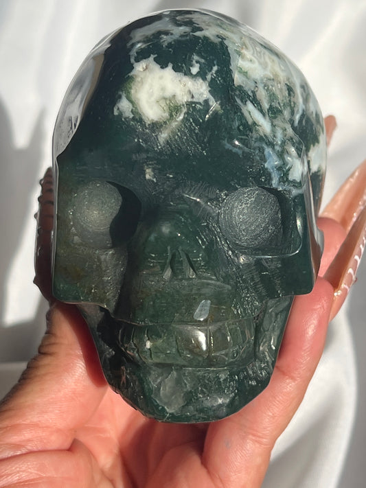 “Green Pastures” Moss Agate/Tree Agate Skulls