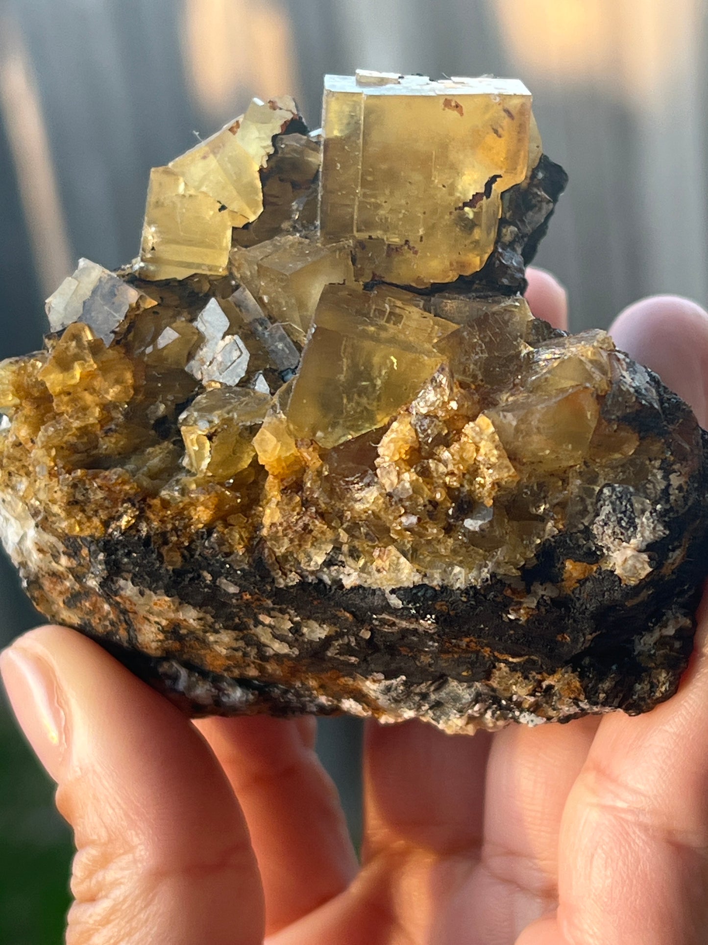 “Buttery Grit Cake” Yellow Moroccan Fluorite Clusters