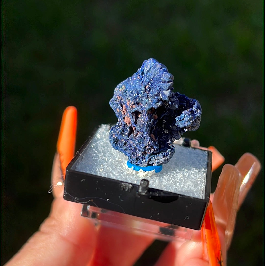 “Sapphire” Druzy Azurite Chunk