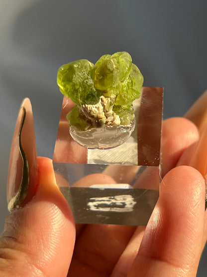 Medium Peridot Clusters