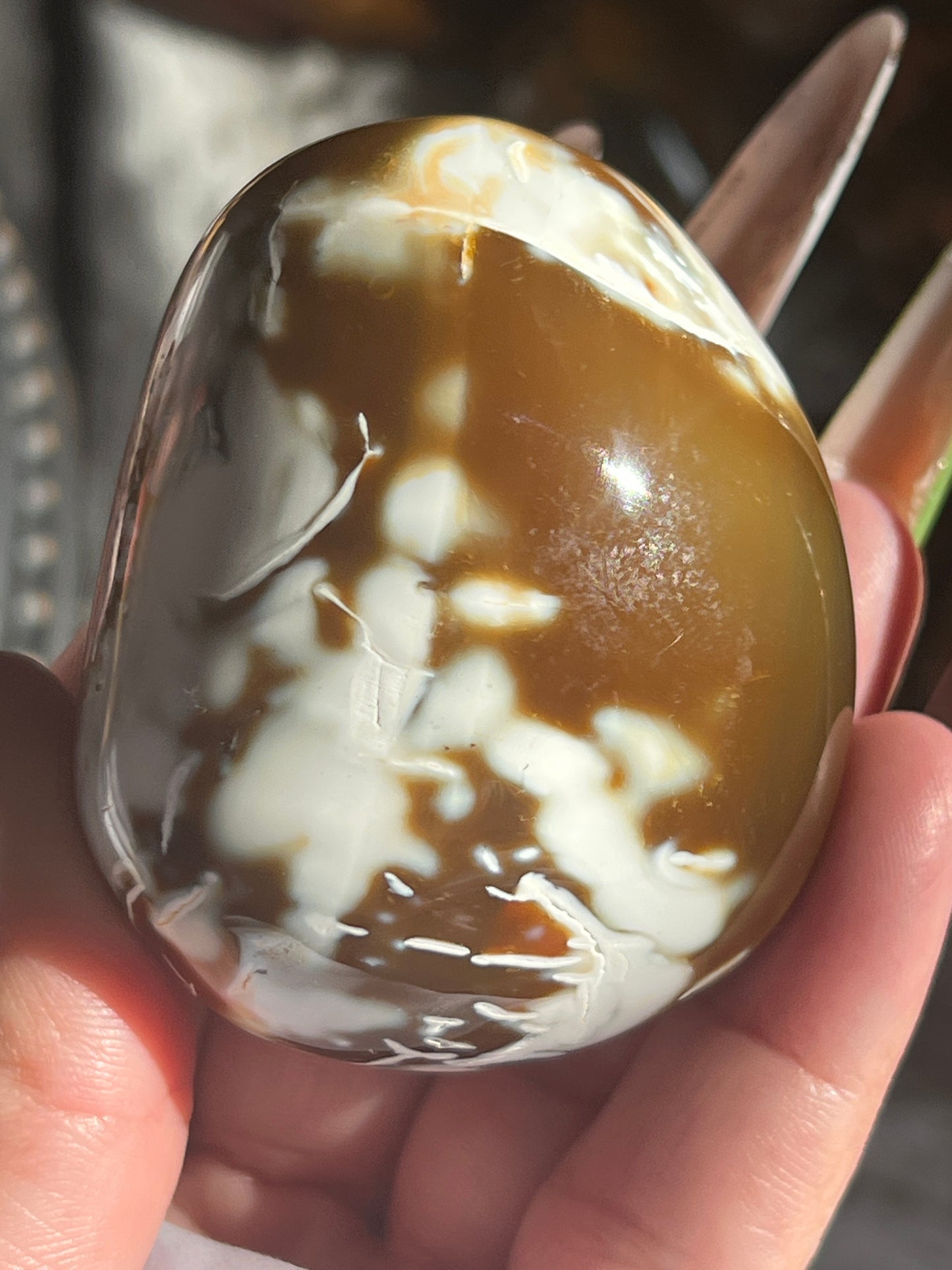 “Crunching Leaves” Carnelian & Agate Palm Stones