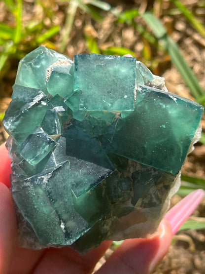 “Poolside” Gusher Green Moroccan Fluorite Cluster