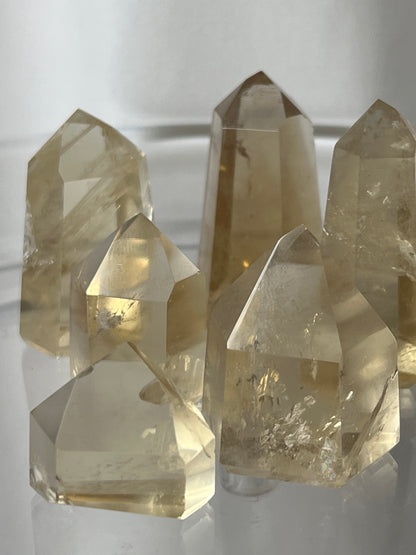 “Sweet Success” Brazilian Citrine Points