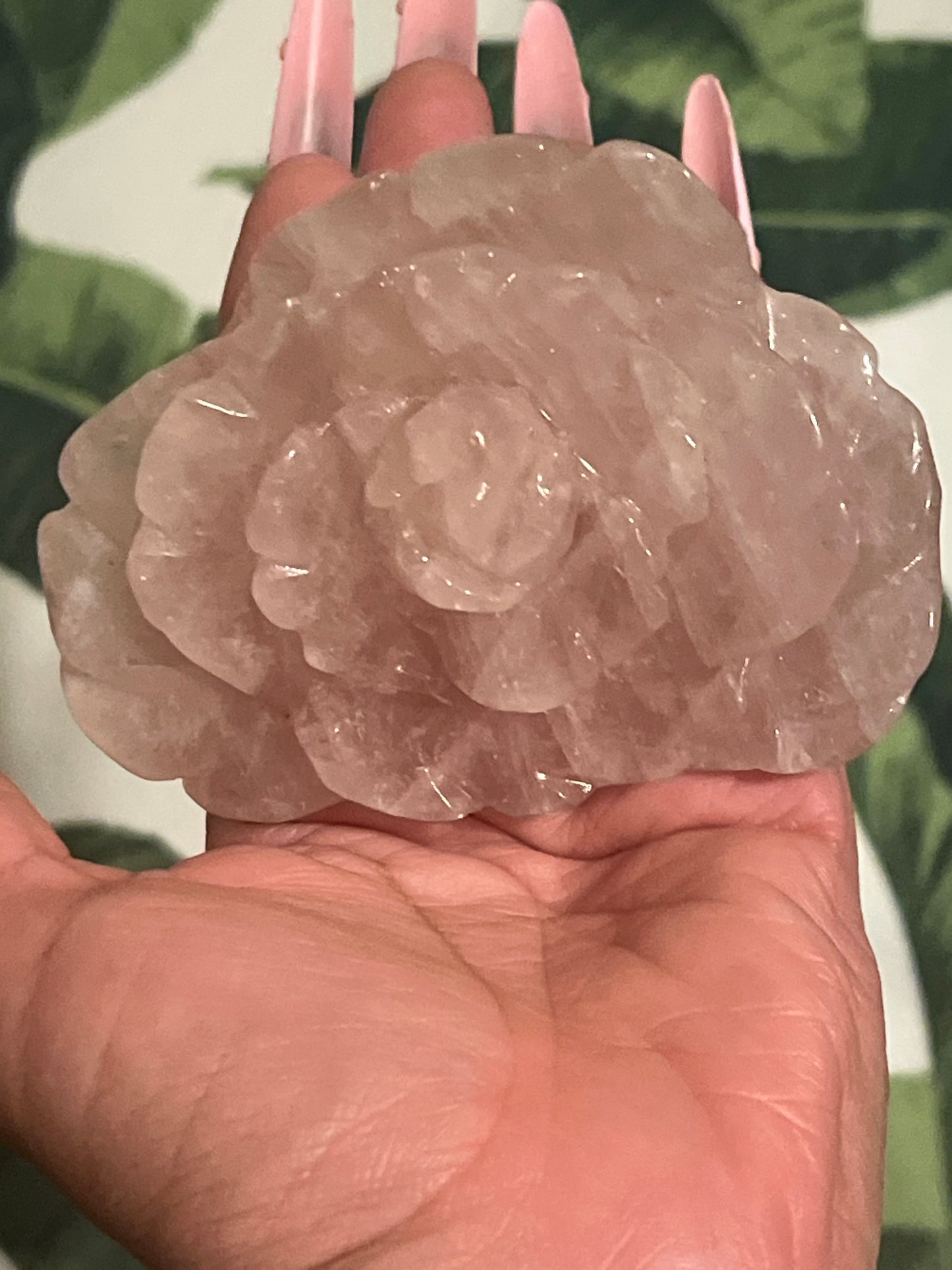 “Delicate Blossom” Rose Quartz Rose