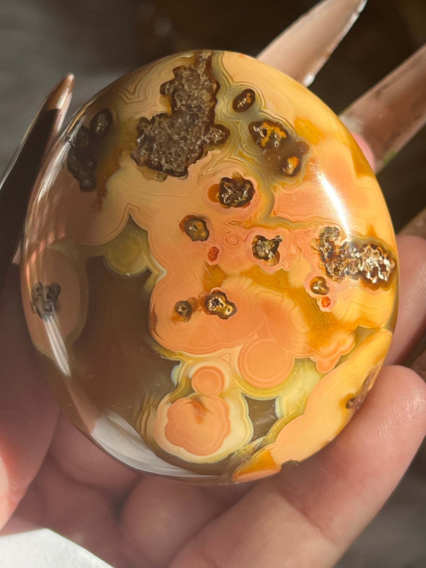 “Crunching Leaves” Carnelian & Agate Palm Stones