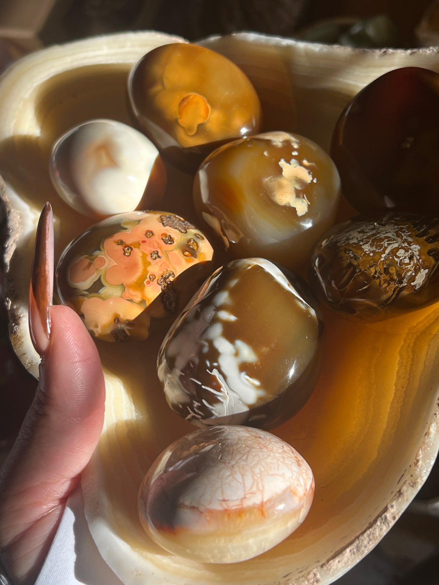 “Crunching Leaves” Carnelian & Agate Palm Stones