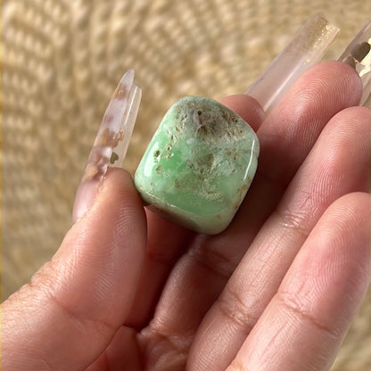 “Abundance Mindset” Chrysoprase Tumbles