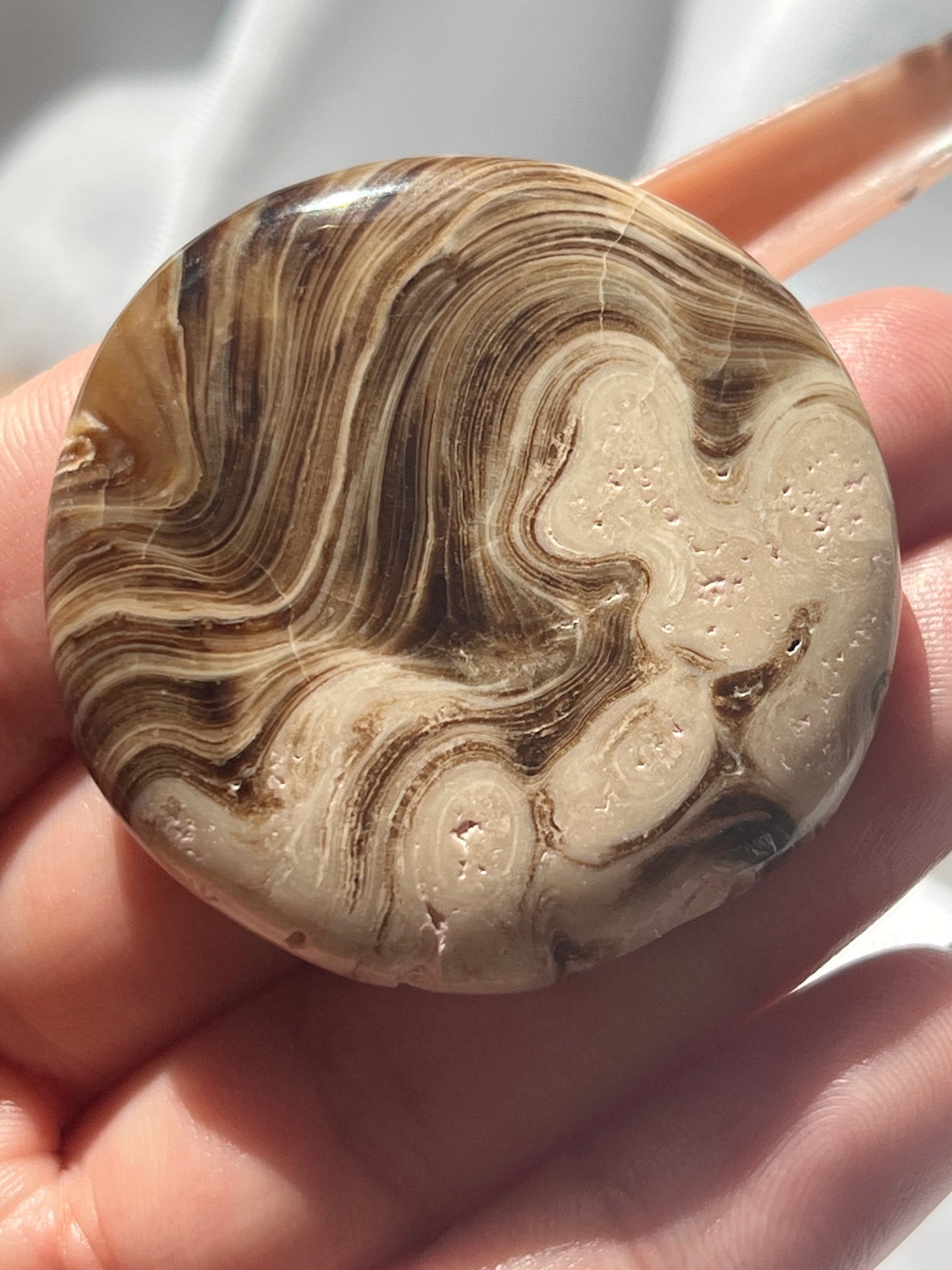 “Fresh Baked” Small Chocolate Calcite Palm Stones