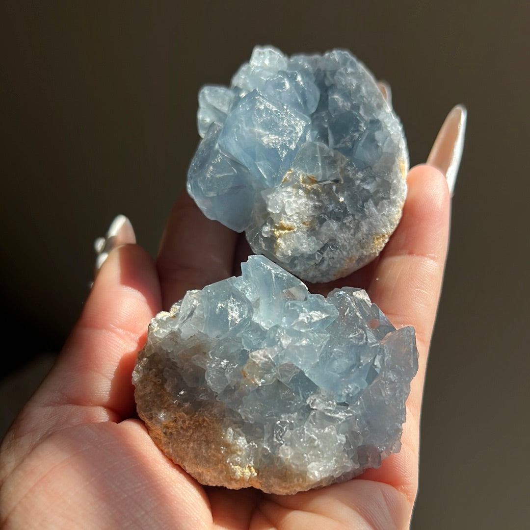 “Powder Blue” Small Celestite Clusters