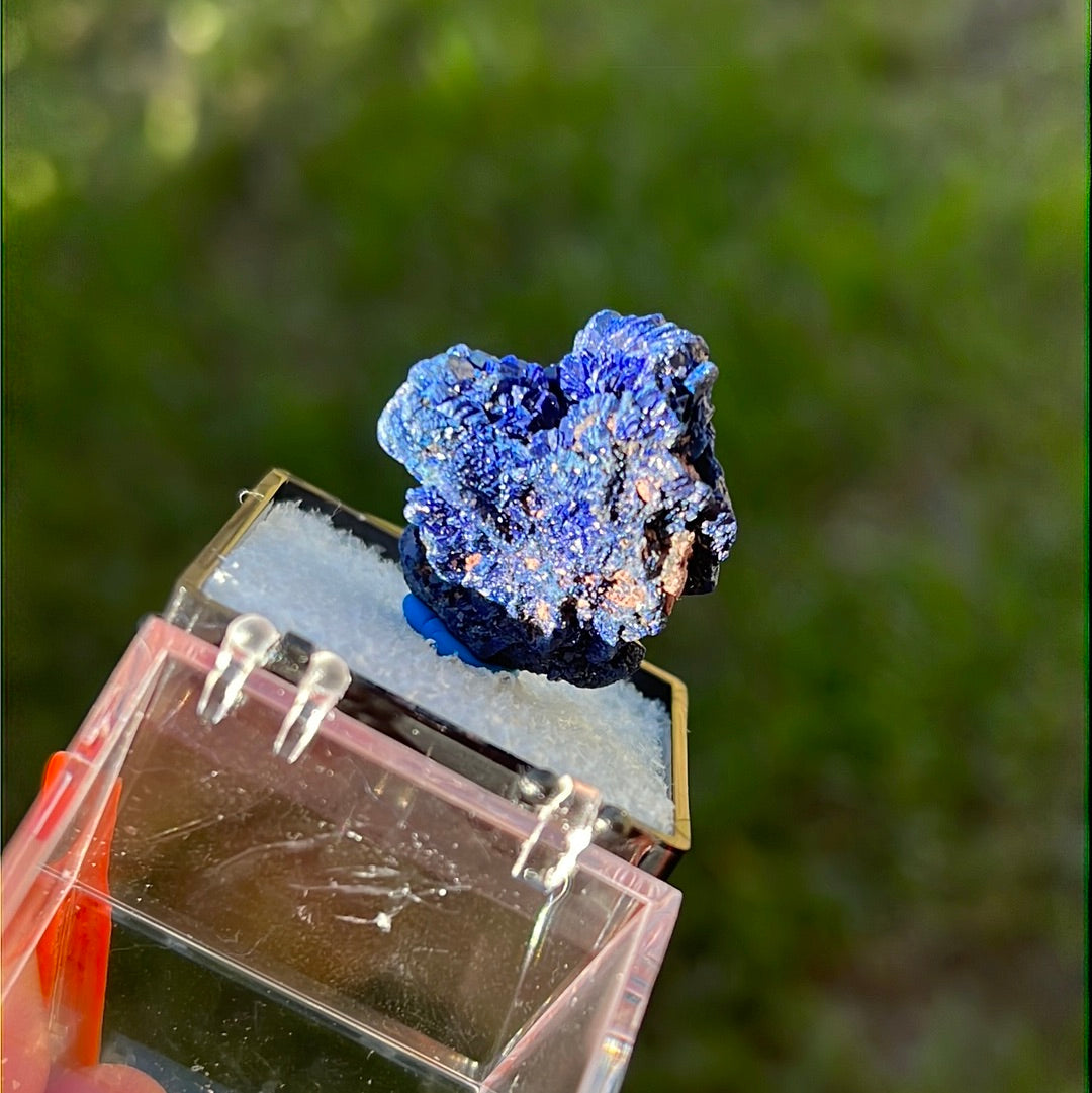 “Sapphire” Druzy Azurite Chunk