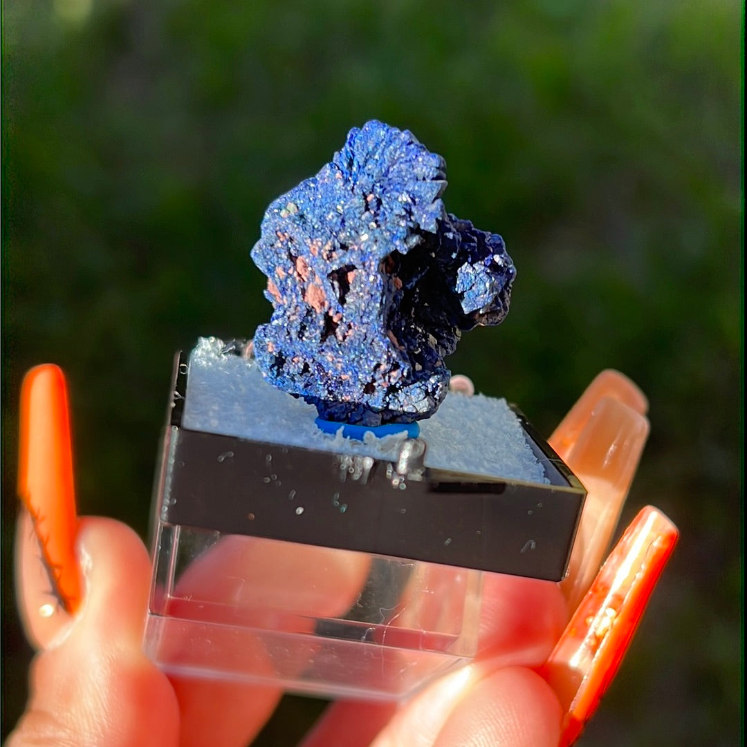 “Sapphire” Druzy Azurite Chunk