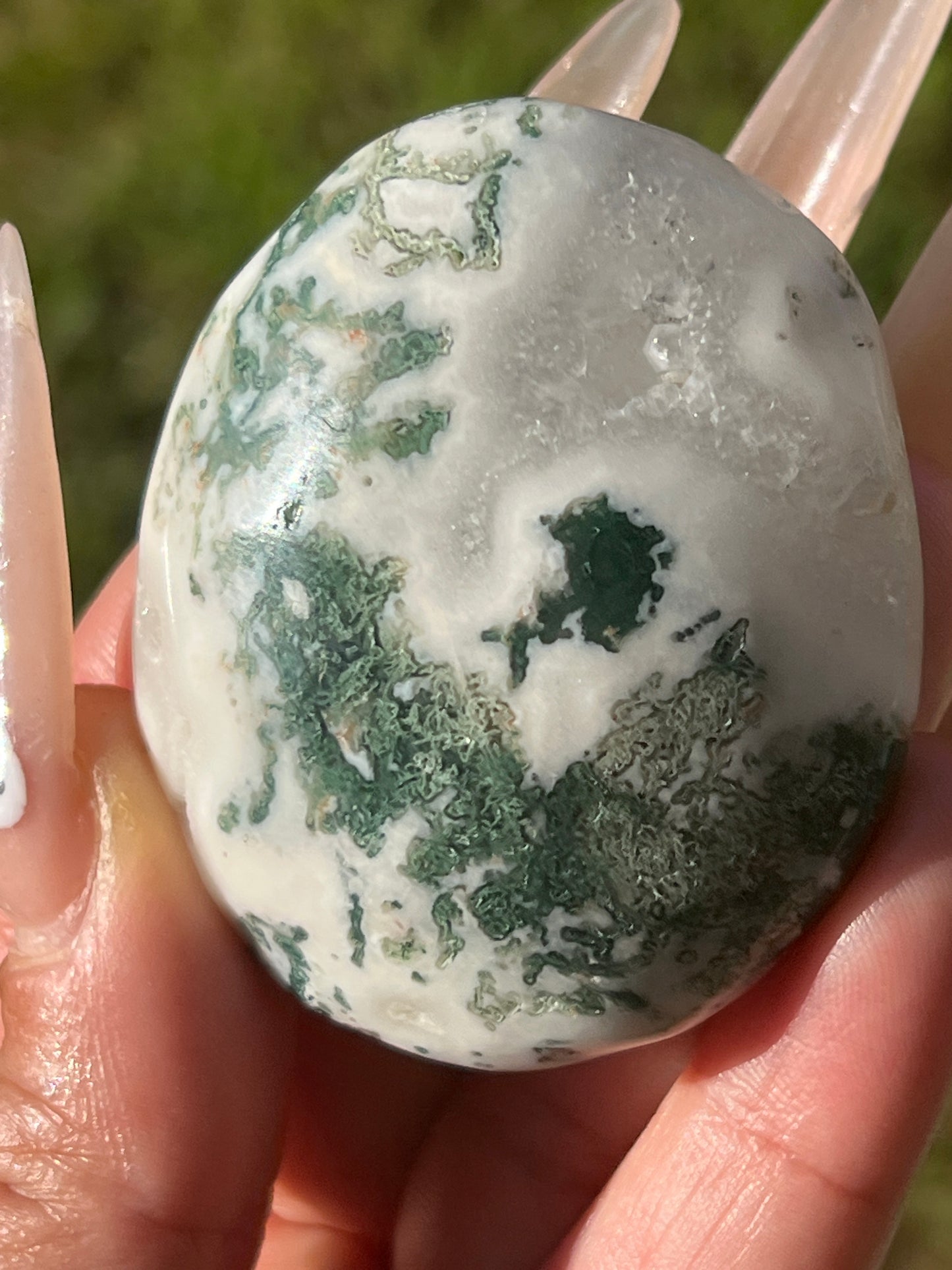 “Fern-tastic!” Moss Agate & Tree Agate Palm Stones