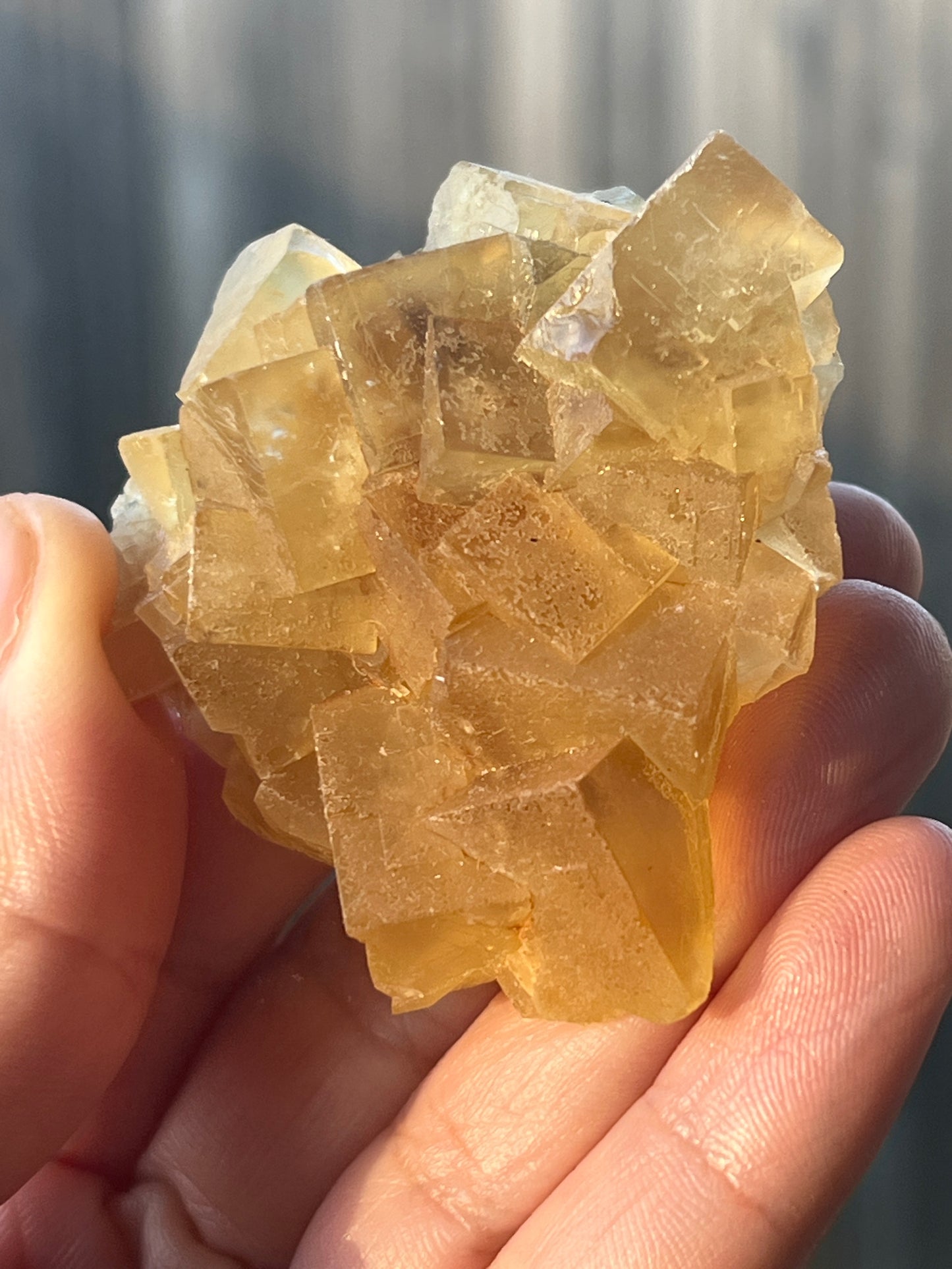 “Buttered Up” Yellow Moroccan Fluorite Clusters