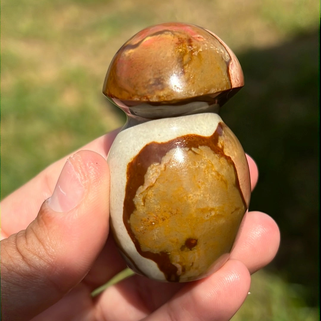 “Pink Pocket” Polychrome Jasper Mushrooms