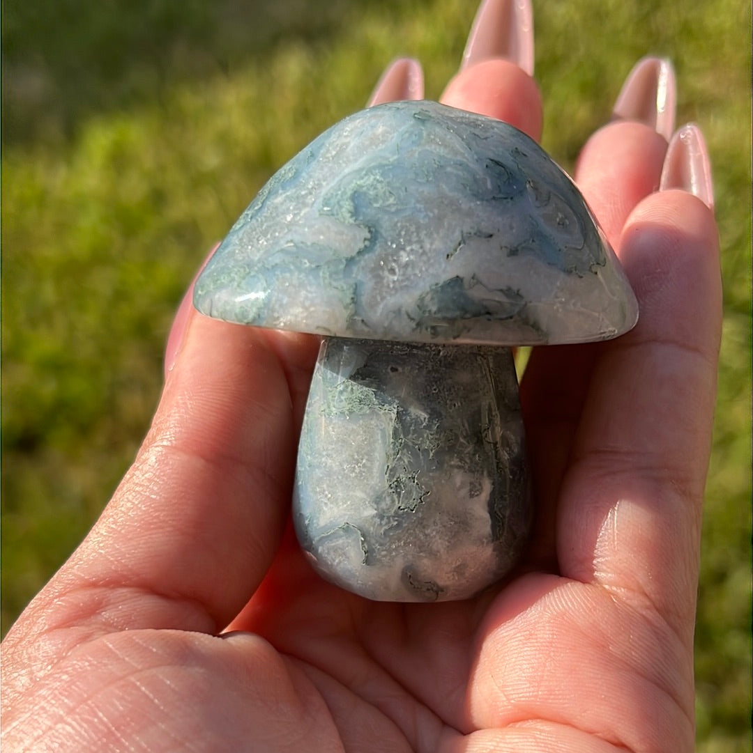 “Mushroom Madness” Moss Agate Mushrooms