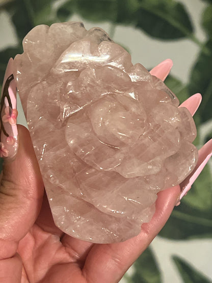 “Delicate Blossom” Rose Quartz Rose