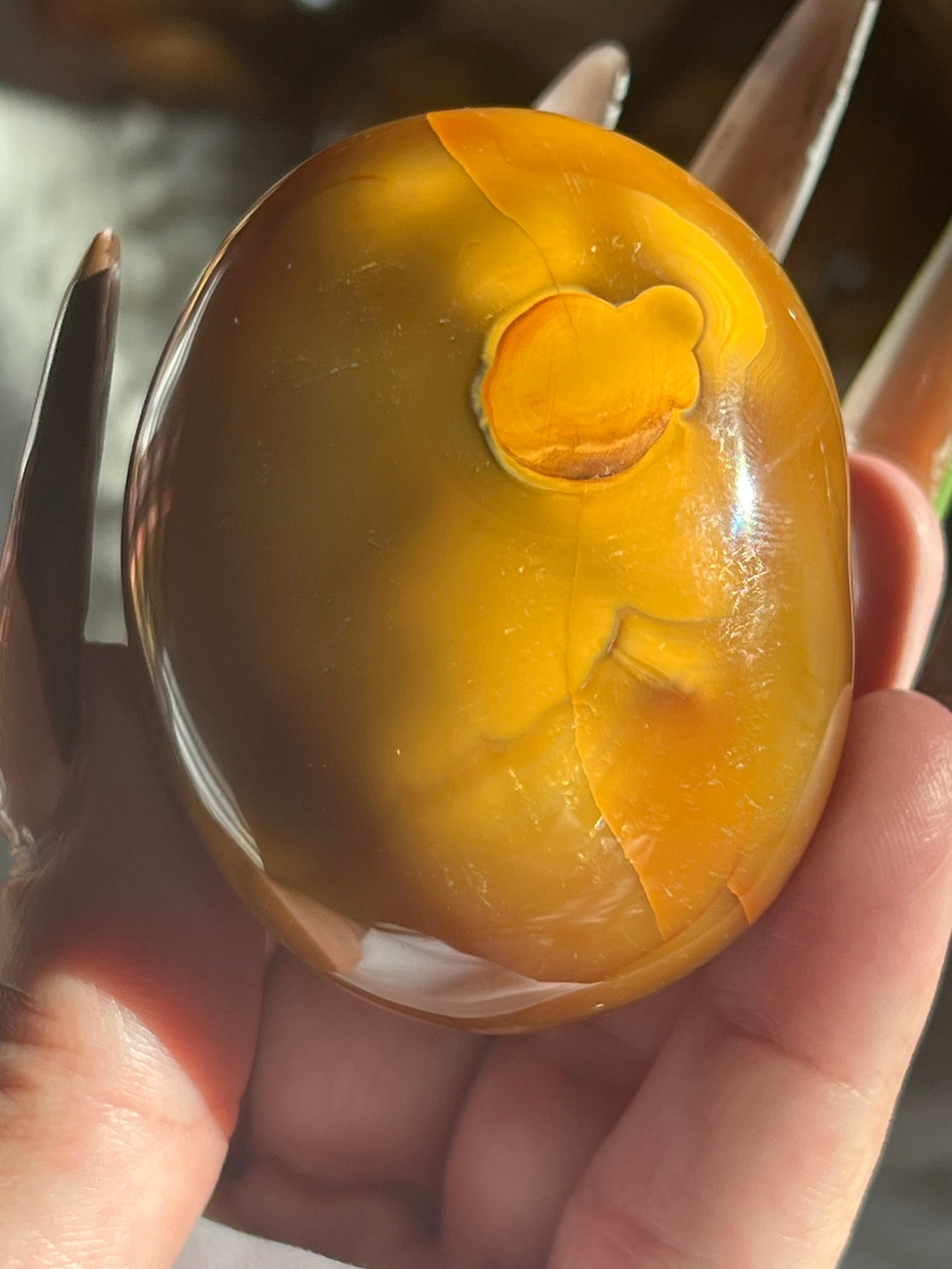 “Crunching Leaves” Carnelian & Agate Palm Stones