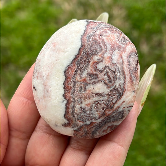 “Baconator” Dali Jasper Palm Stone