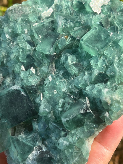 “Poolside” Large Moroccan Fluorite Cluster