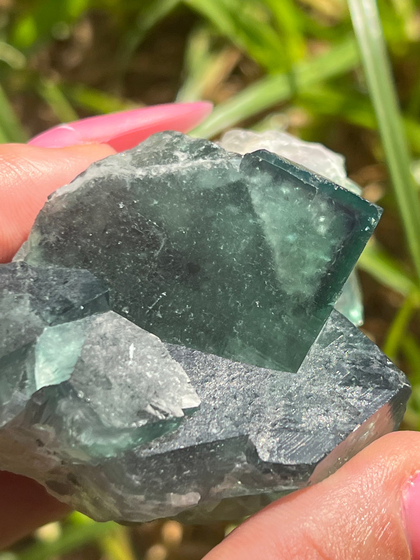 “Poolside” Medium Moroccan Fluorite Cluster