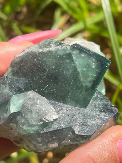 “Poolside” Medium Moroccan Fluorite Cluster