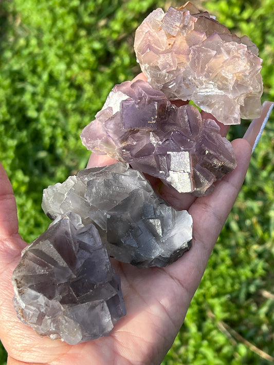 Small-Medium Balochistan Fluorite Clusters