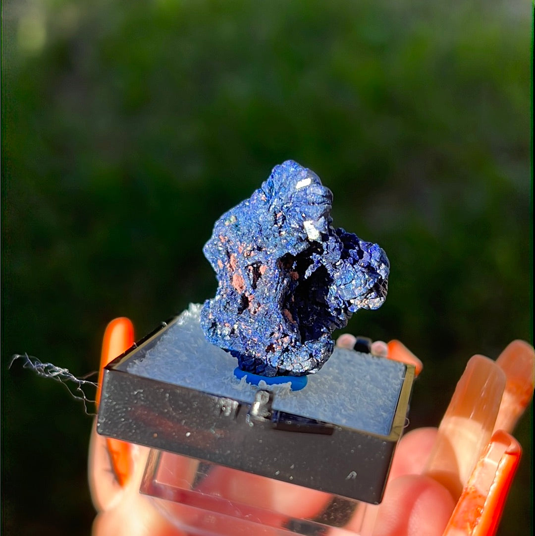 “Sapphire” Druzy Azurite Chunk