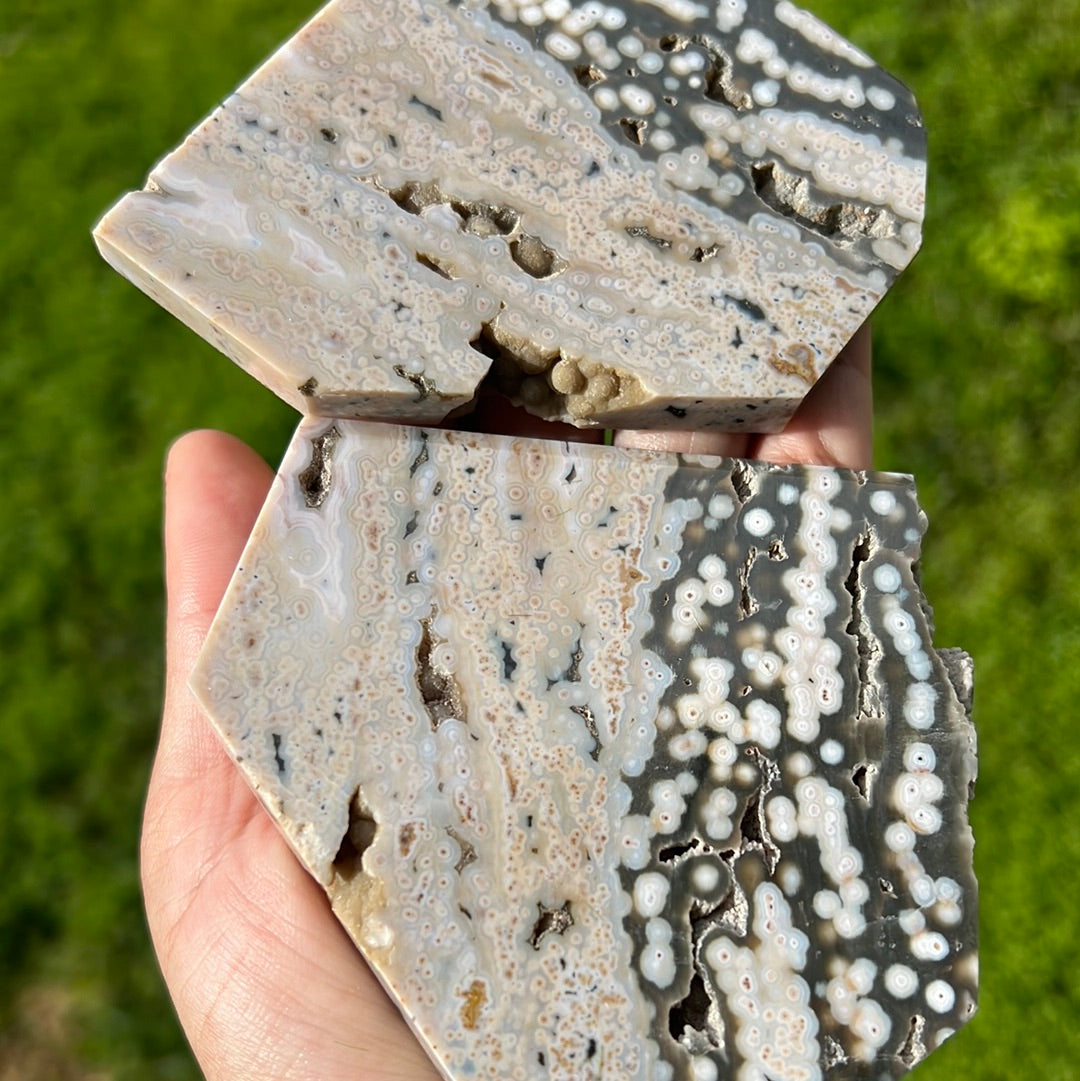 Earthy Orbicular Jasper Slabs