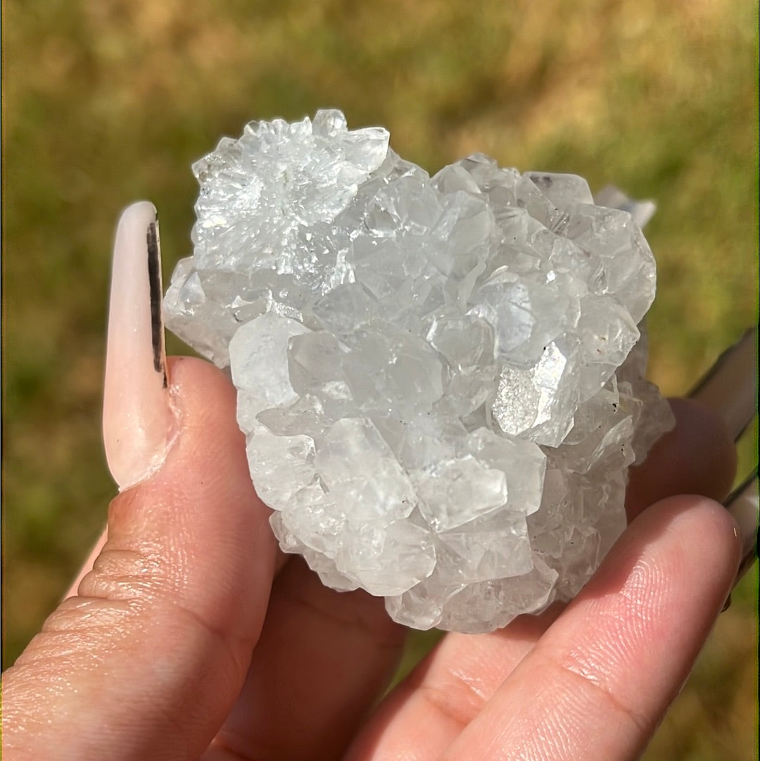 “Disco Ball Dew” Apophyllite Clusters