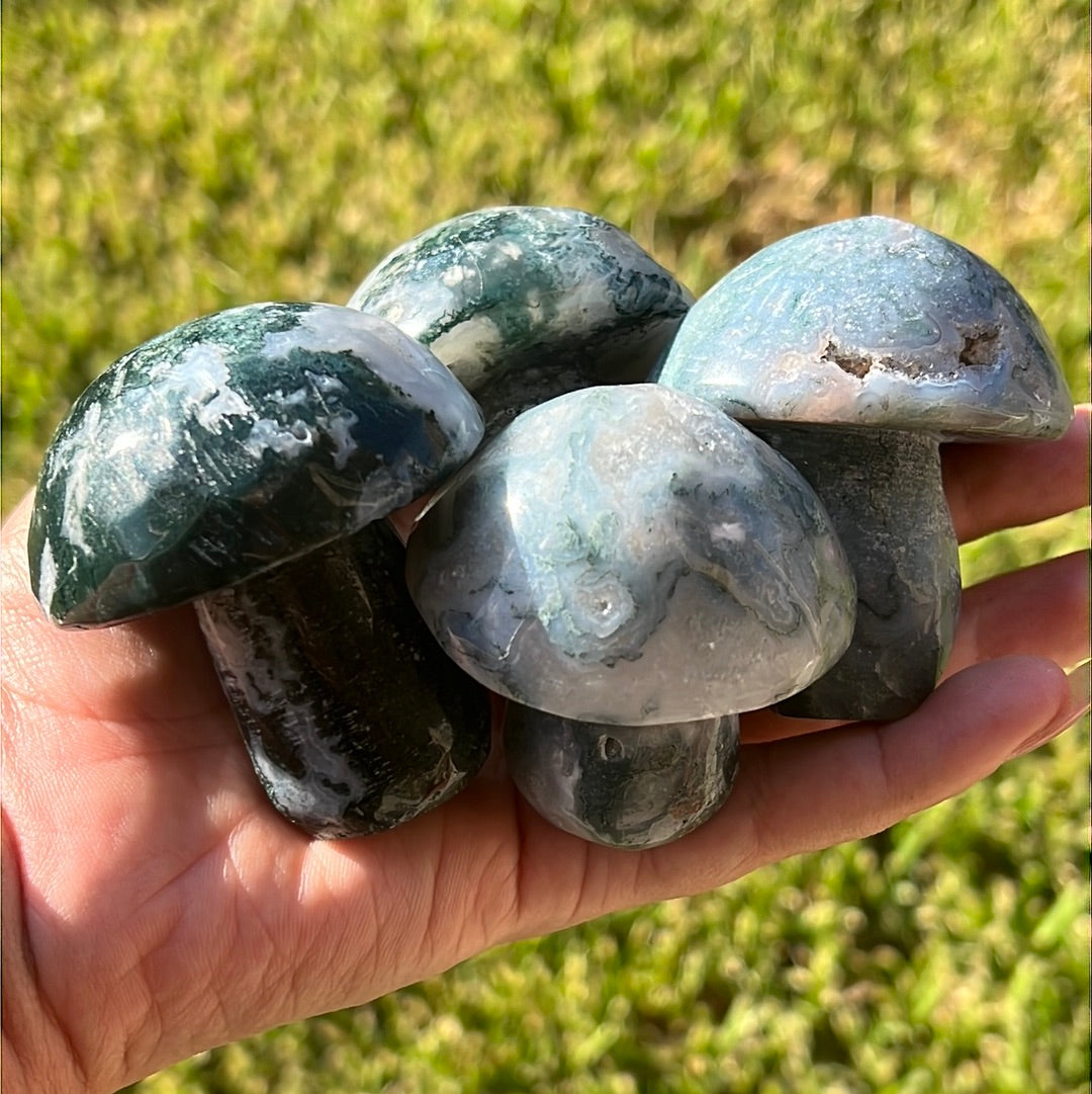 “Mushroom Madness” Moss Agate Mushrooms