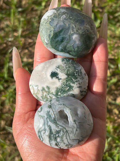 “Fern-tastic!” Moss Agate & Tree Agate Palm Stones