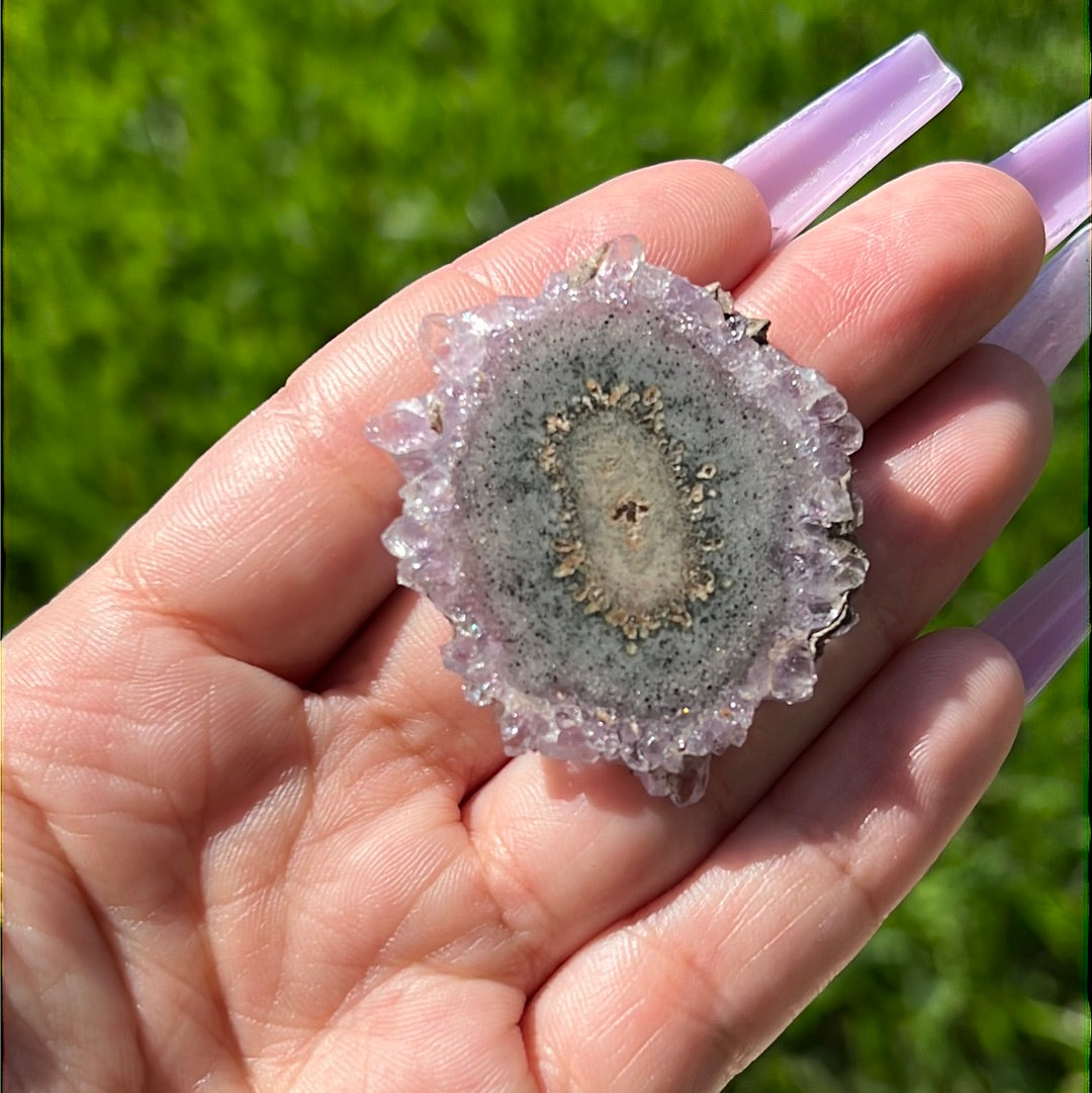 “A Nice Slice” Stalactite Slices