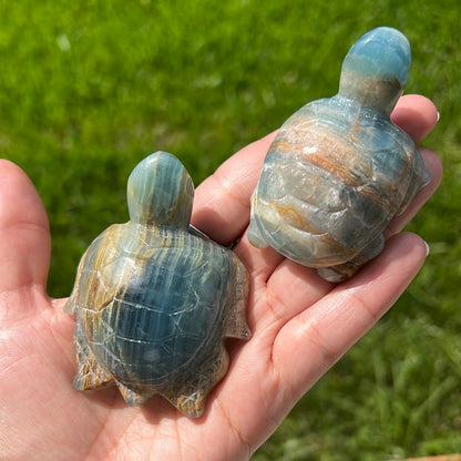 “Under The Sea” Blue Onyx Turtles