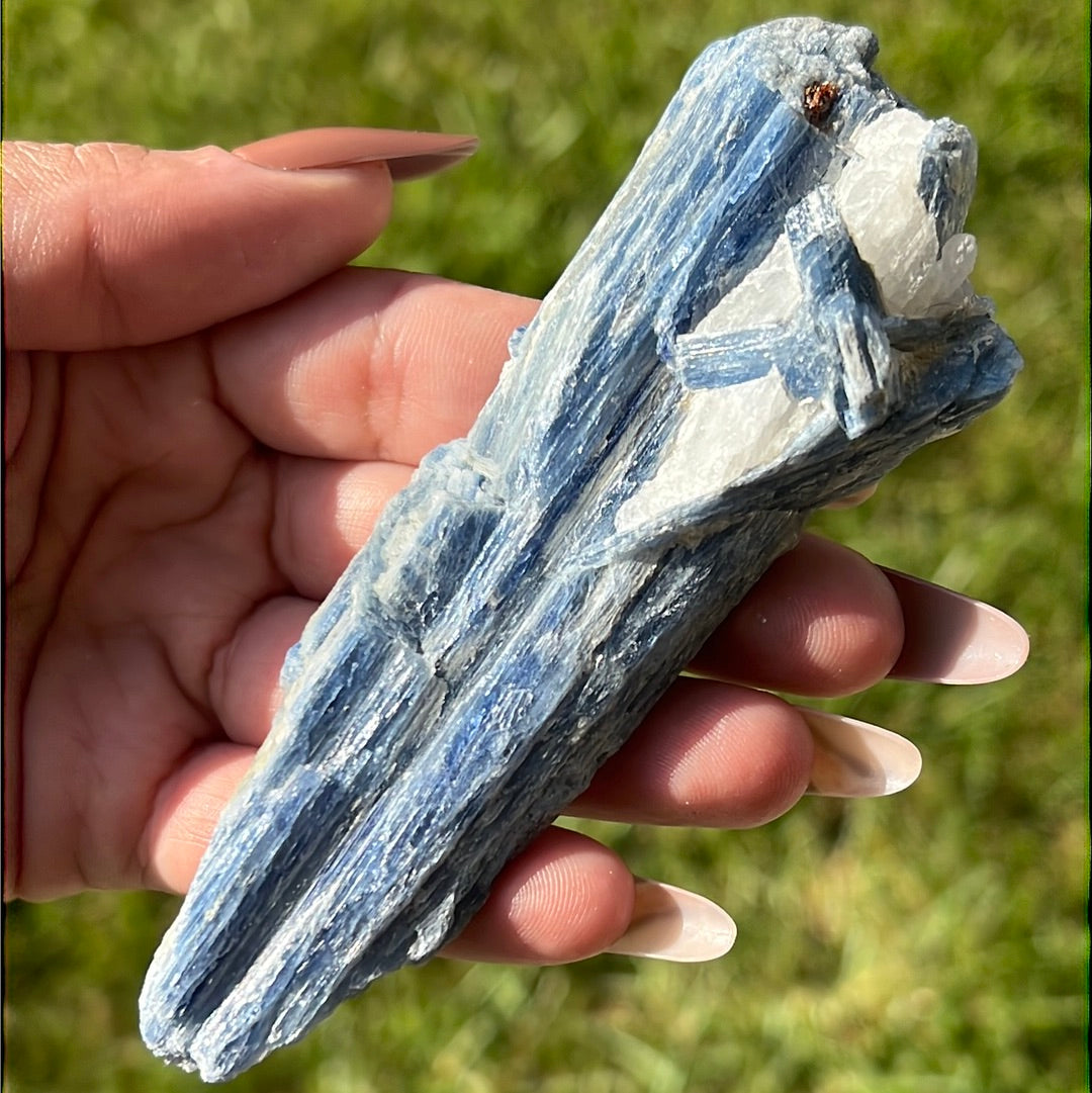 “Icicle” Blue Kyanite Blades and Fans