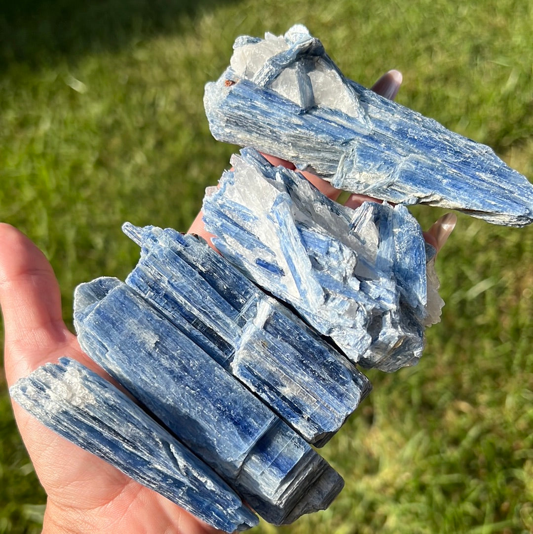 “Icicle” Blue Kyanite Blades and Fans